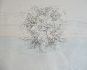'Wild Flower' graphite on raw pigments 2011 (section)